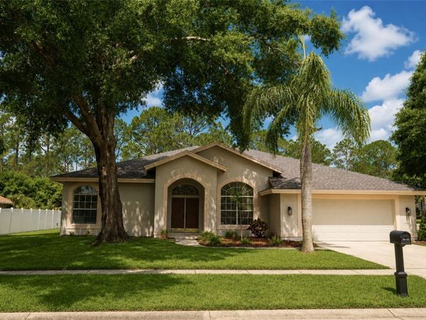 17316 HIALEAH DRIVE , ODESSA, FL 33556