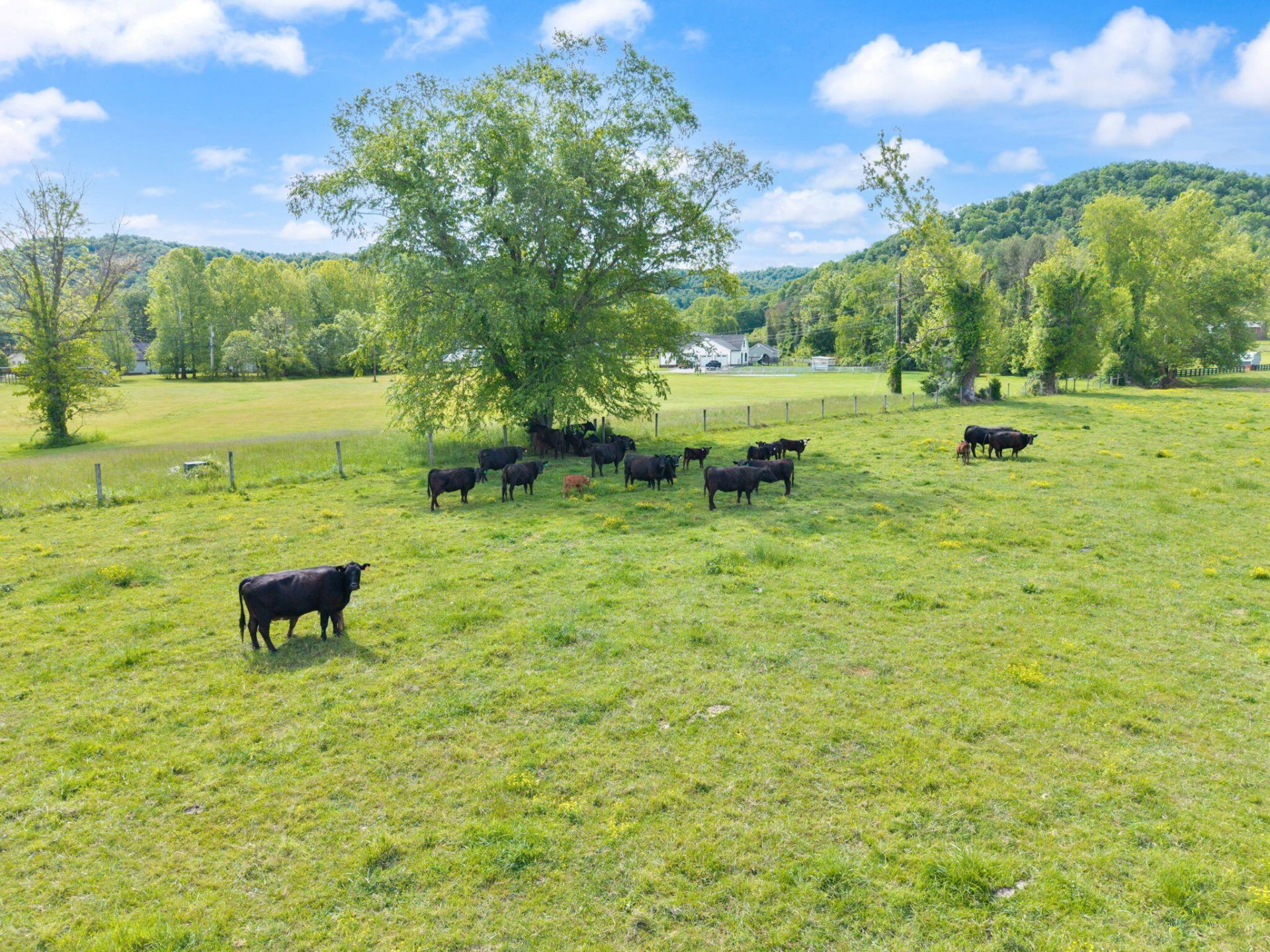 2560 McBrayer Road, Clearfield, KY 40313