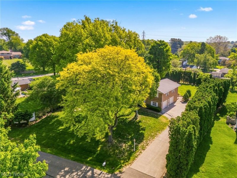 3410 Lindbergh Avenue NW, Canton, OH 44718 Photo 6