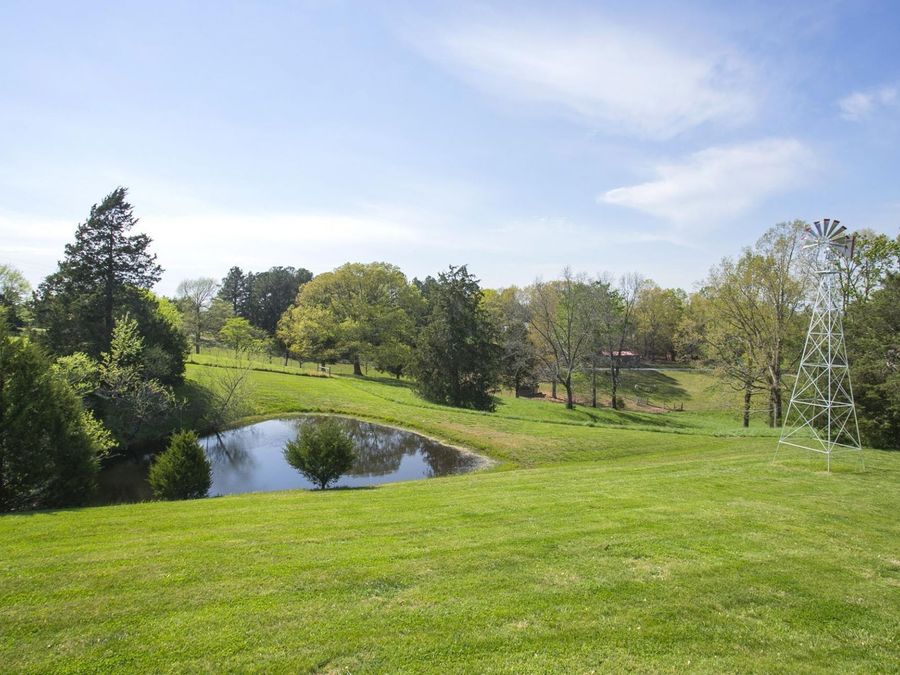 Property Image 61