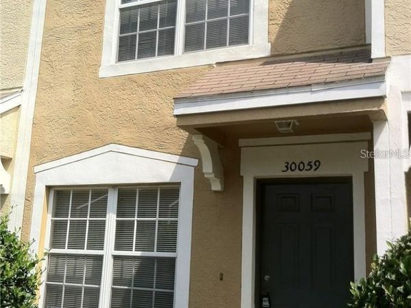 30059 GRANDA HILLS COURT , WESLEY CHAPEL, FL 33543