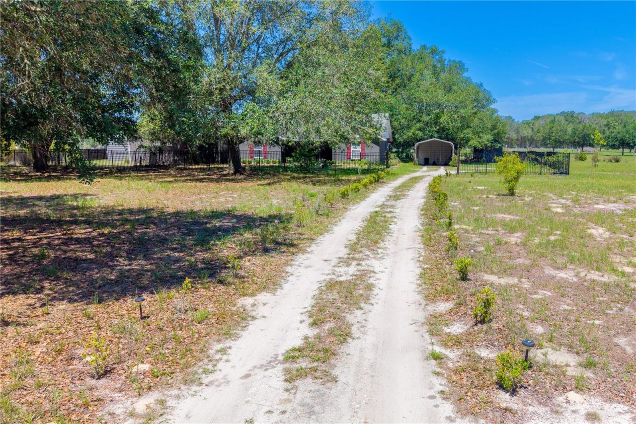 1750 SW 15th Street , Bell, FL 32619 Photo