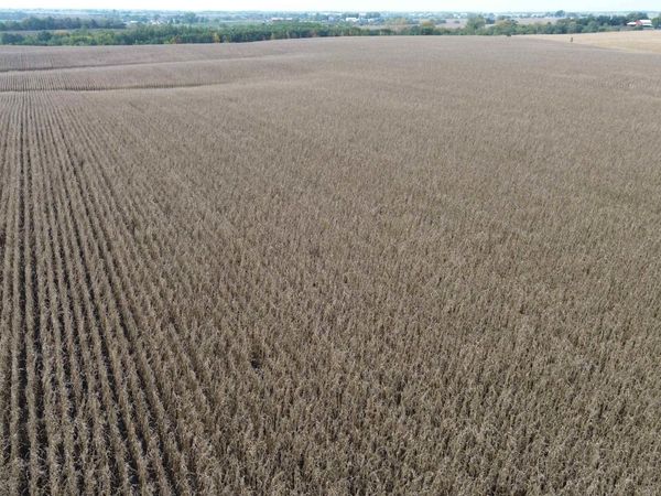 46 A 255th Avenue, Chariton, IA 50049