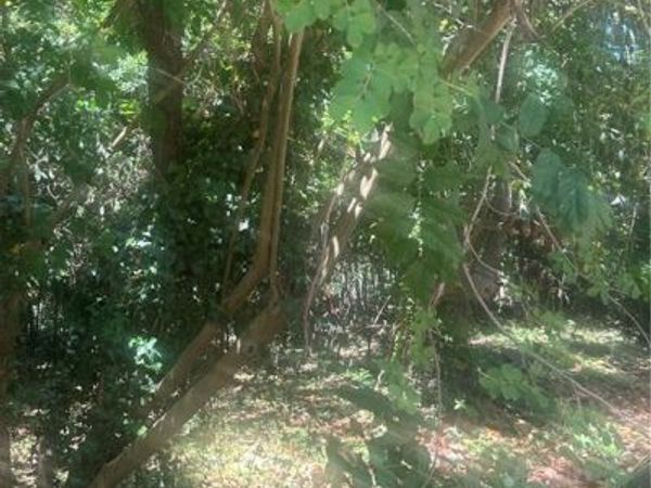 0 Magnolia, Mcintyre, GA 31054