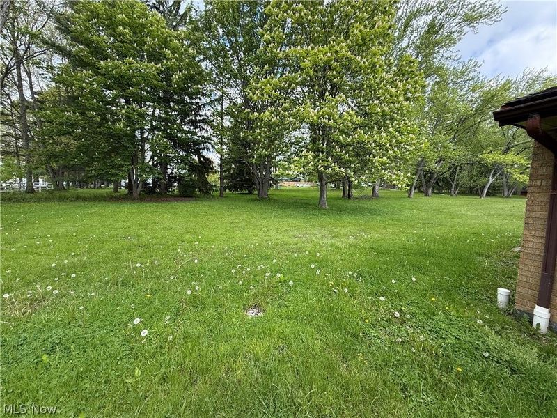 9214 Blueberry Lane, Macedonia, OH 44056 Photo 24