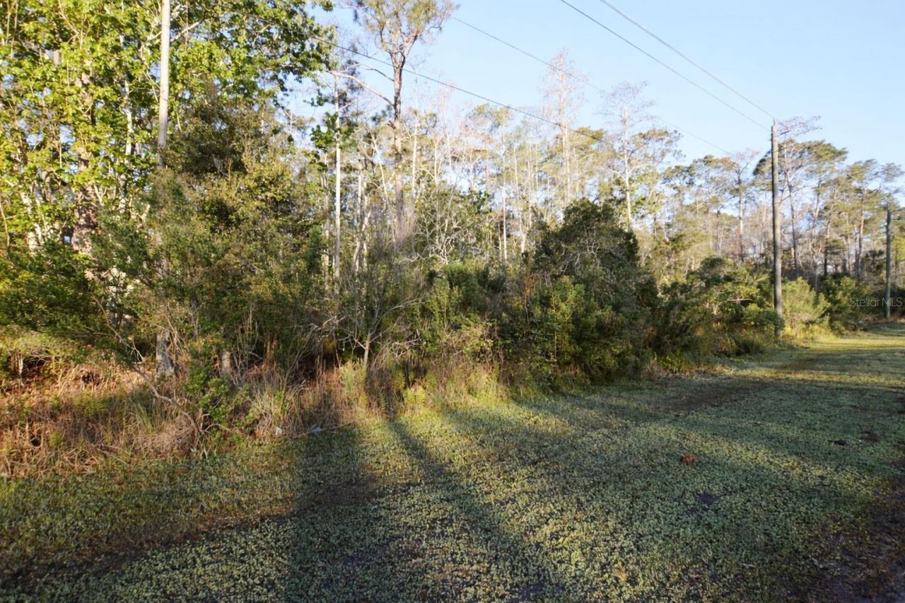 Xxxx Pine Lakes Parkway , Palm Coast, FL 32164 Photo