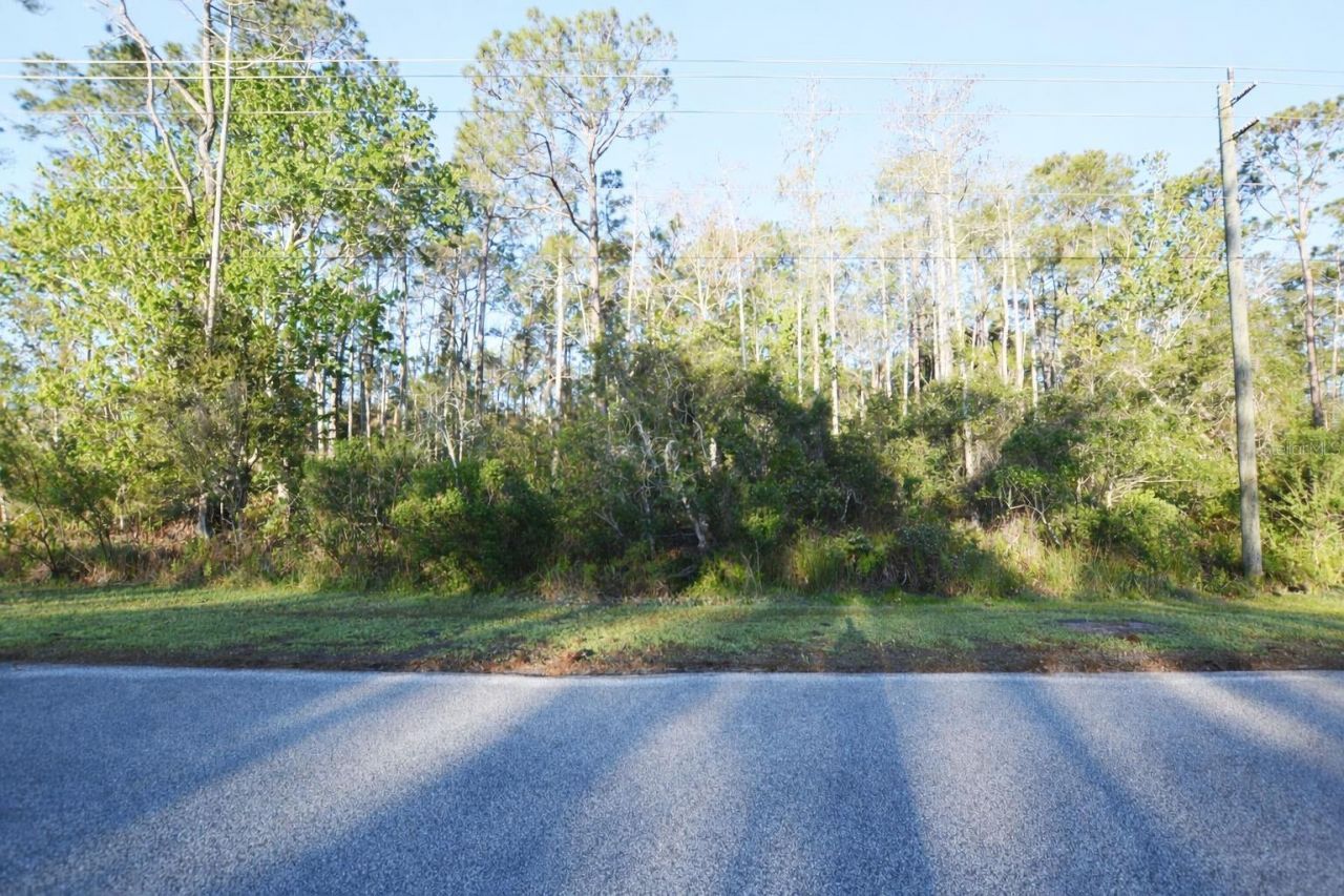 Xxxx Pine Lakes Parkway , Palm Coast, FL 32164 Photo