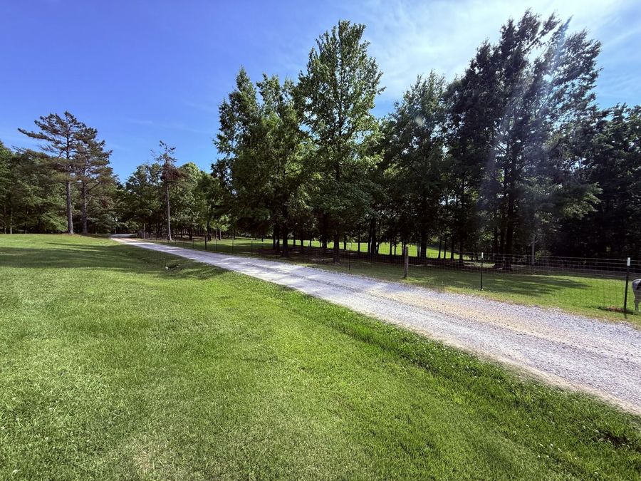 Property Image 59