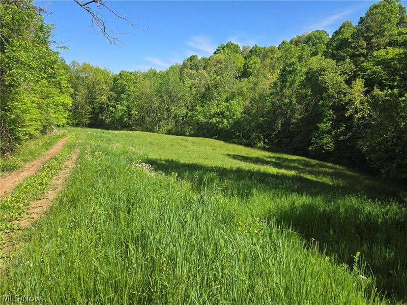 Hill Lane , McConnelsville, OH 43756 Photo 13