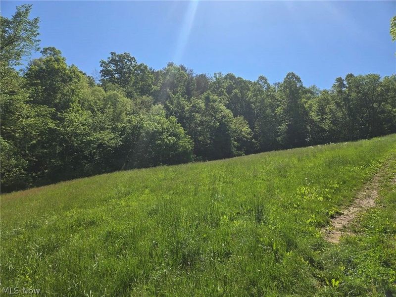 Hill Lane , McConnelsville, OH 43756 Photo 14