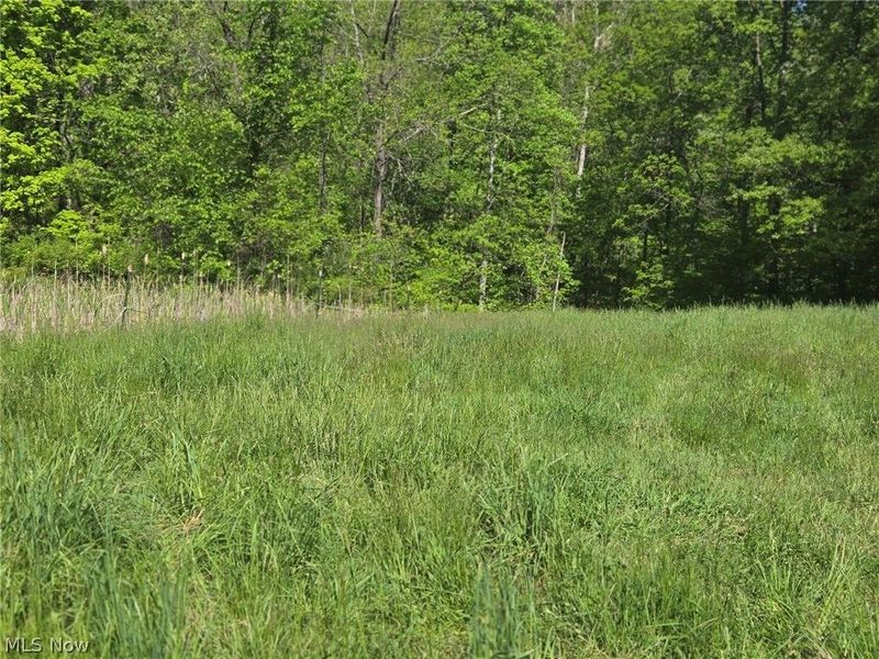 Hill Lane , McConnelsville, OH 43756 Photo 15