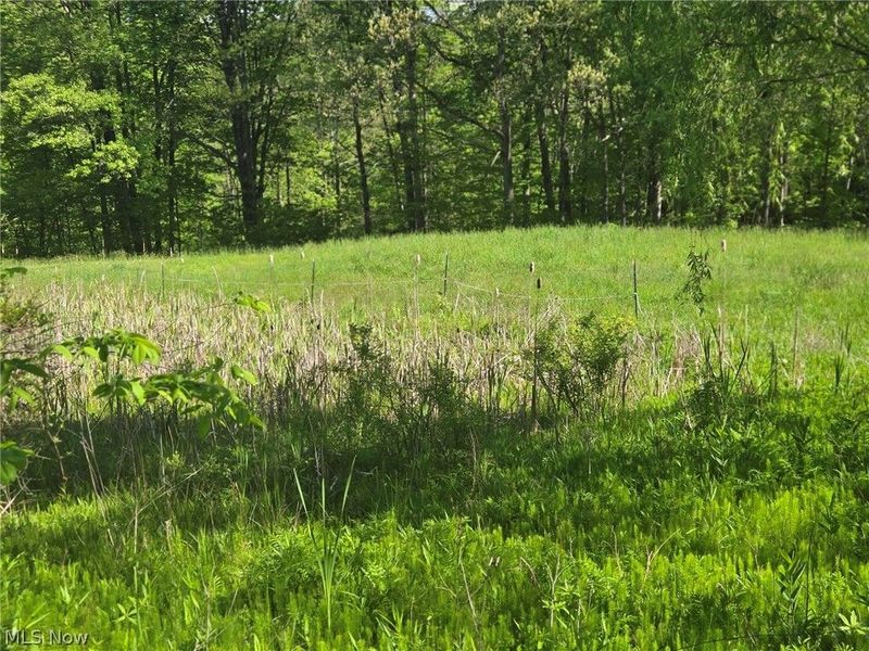 Hill Lane , McConnelsville, OH 43756 Photo 16