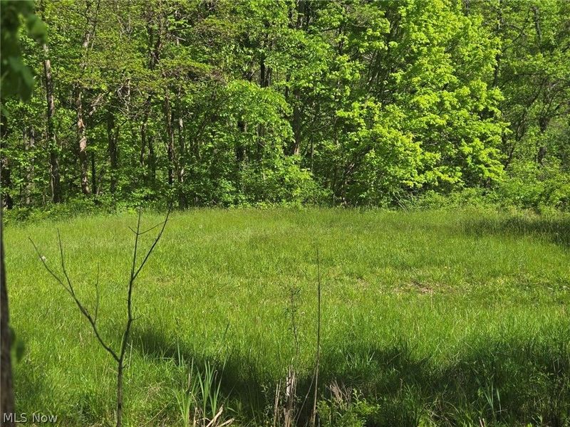 Hill Lane , McConnelsville, OH 43756 Photo 17