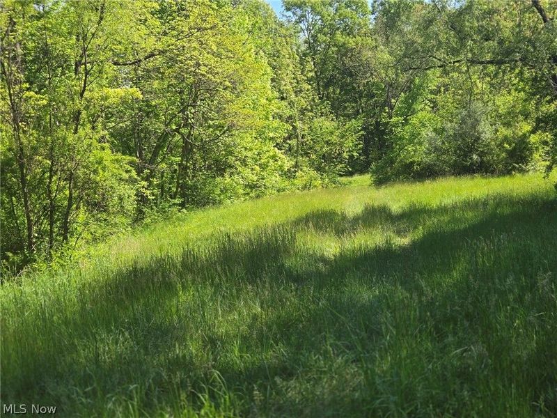 Hill Lane , McConnelsville, OH 43756 Photo 18