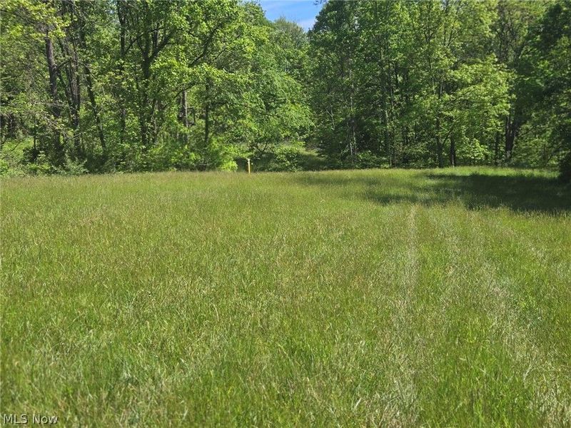 Hill Lane , McConnelsville, OH 43756 Photo 23