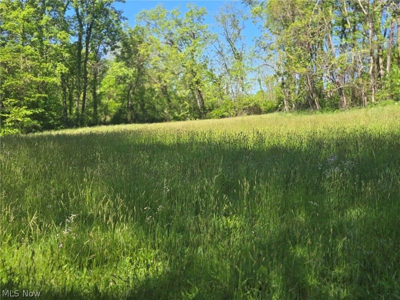 Hill Lane , McConnelsville, OH 43756 Photo 25