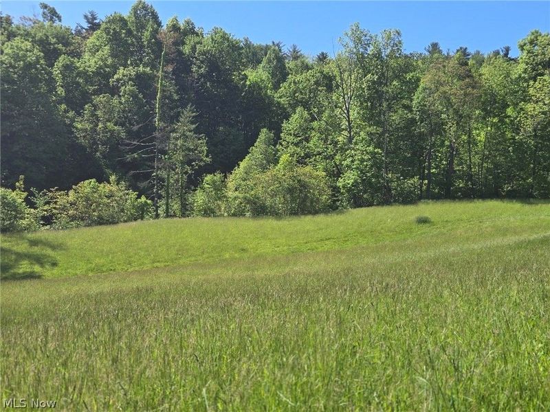 Hill Lane , McConnelsville, OH 43756 Photo 28