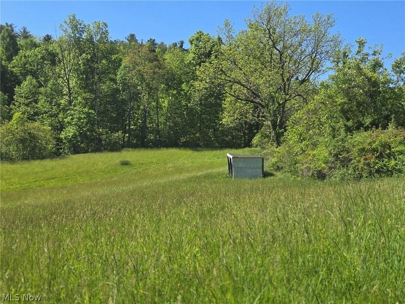 Hill Lane , McConnelsville, OH 43756 Photo 29