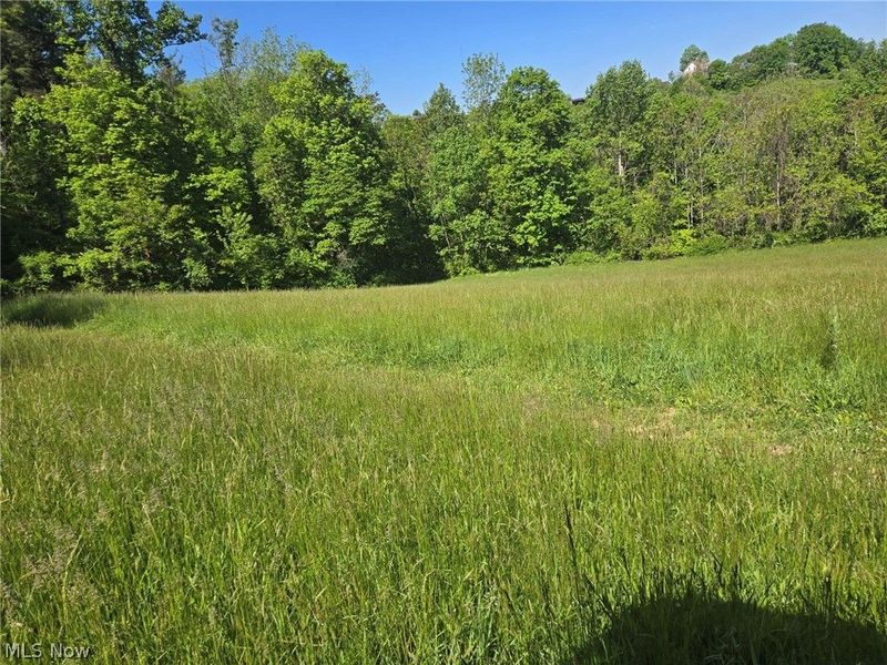 Hill Lane , McConnelsville, OH 43756 Photo 31