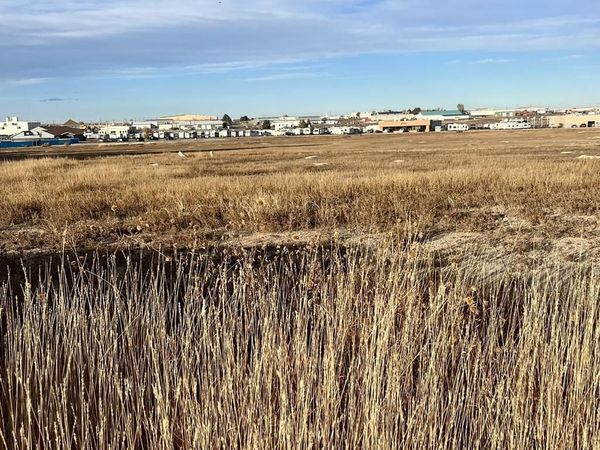 659 E Clarion Dr, Pueblo West, CO 81007