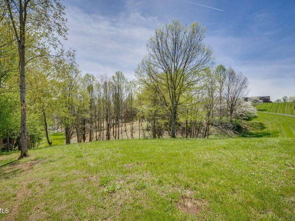 Tbd Chaucer Court, Johnson City, TN 37615