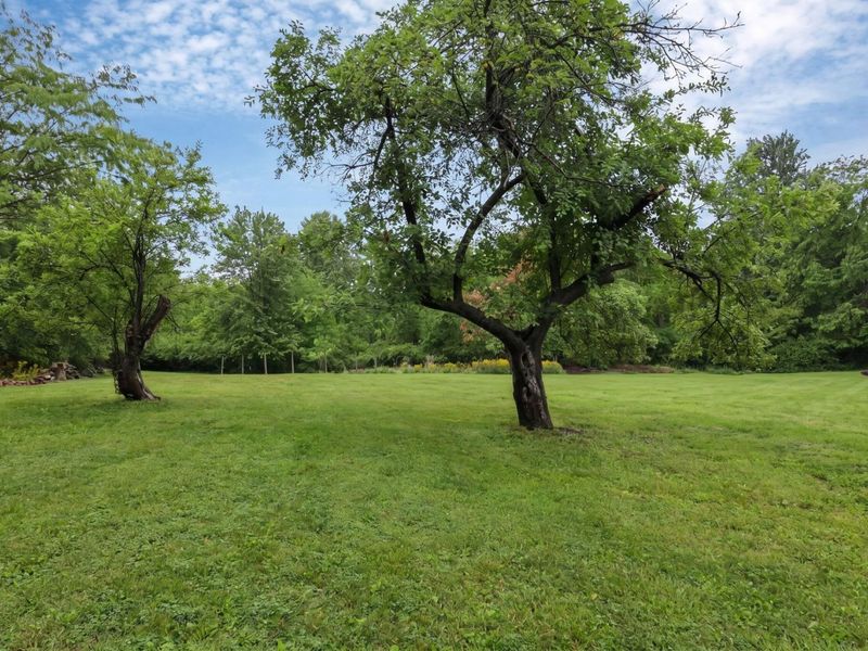 225 Edwards Road, Johnstown, OH 43031 Photo 59