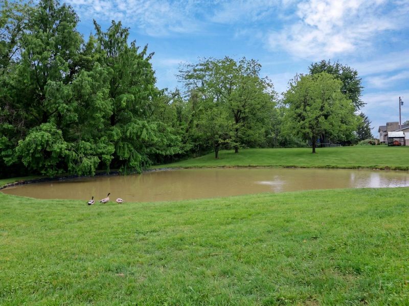 225 Edwards Road, Johnstown, OH 43031 Photo 60