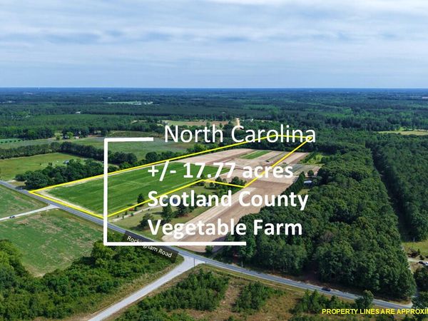 5901 Rockingham Road , Laurel Hill, NC 28351