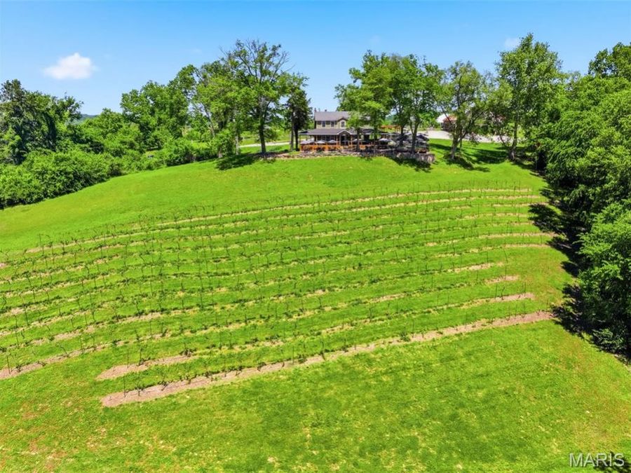 Property Image 53