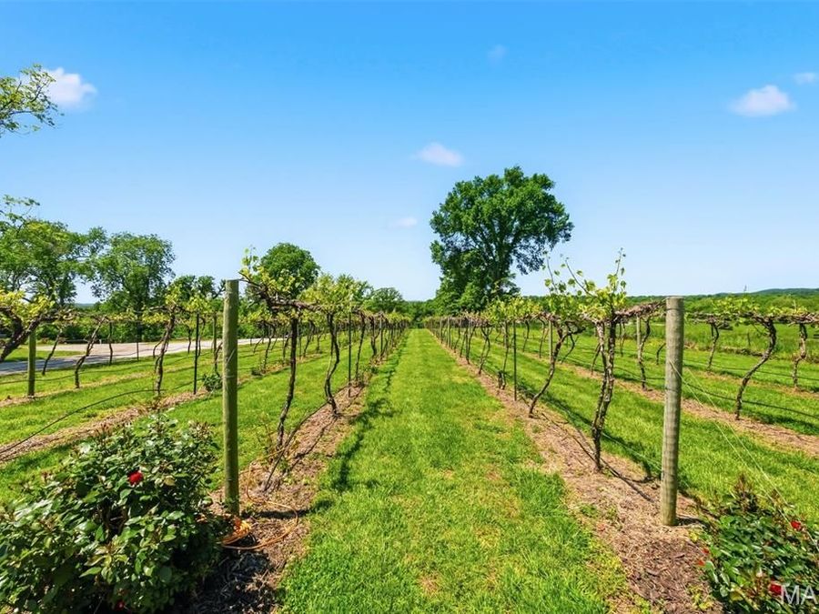 Property Image 63