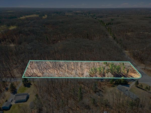 Cedar Springs, MI 49319
