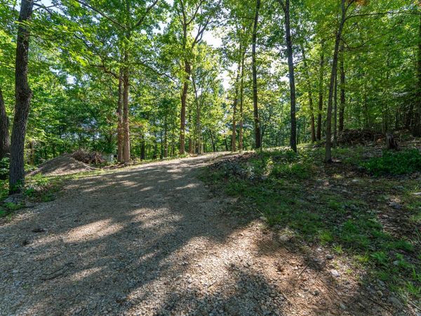 910 Marion County 7097 , Flippin, AR 72634