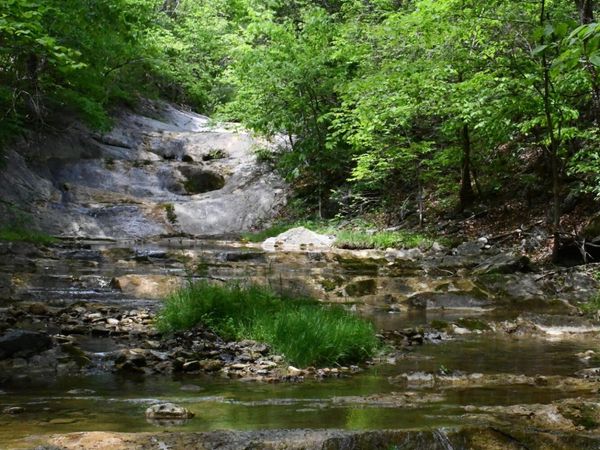 000 E Indian Rock RD E, Buchanan, VA 24066