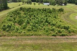 Tbd Dawson Branch Road photo 4