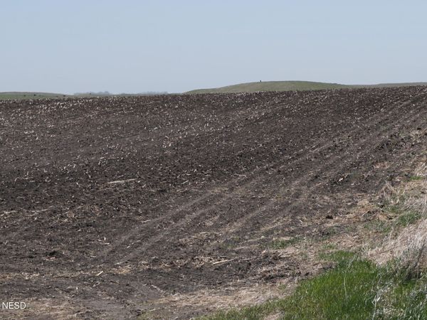 442ND AVENUE, Florence, SD 57235