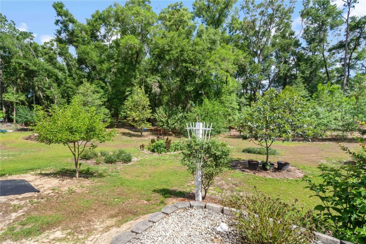 4050 NE 172nd Court , Williston, FL 32696 Photo
