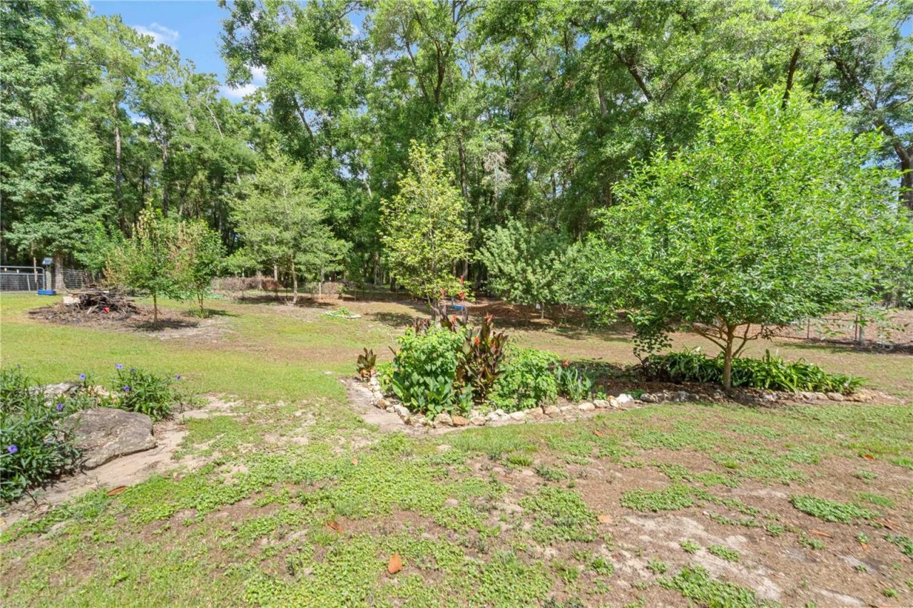 4050 NE 172nd Court , Williston, FL 32696 Photo