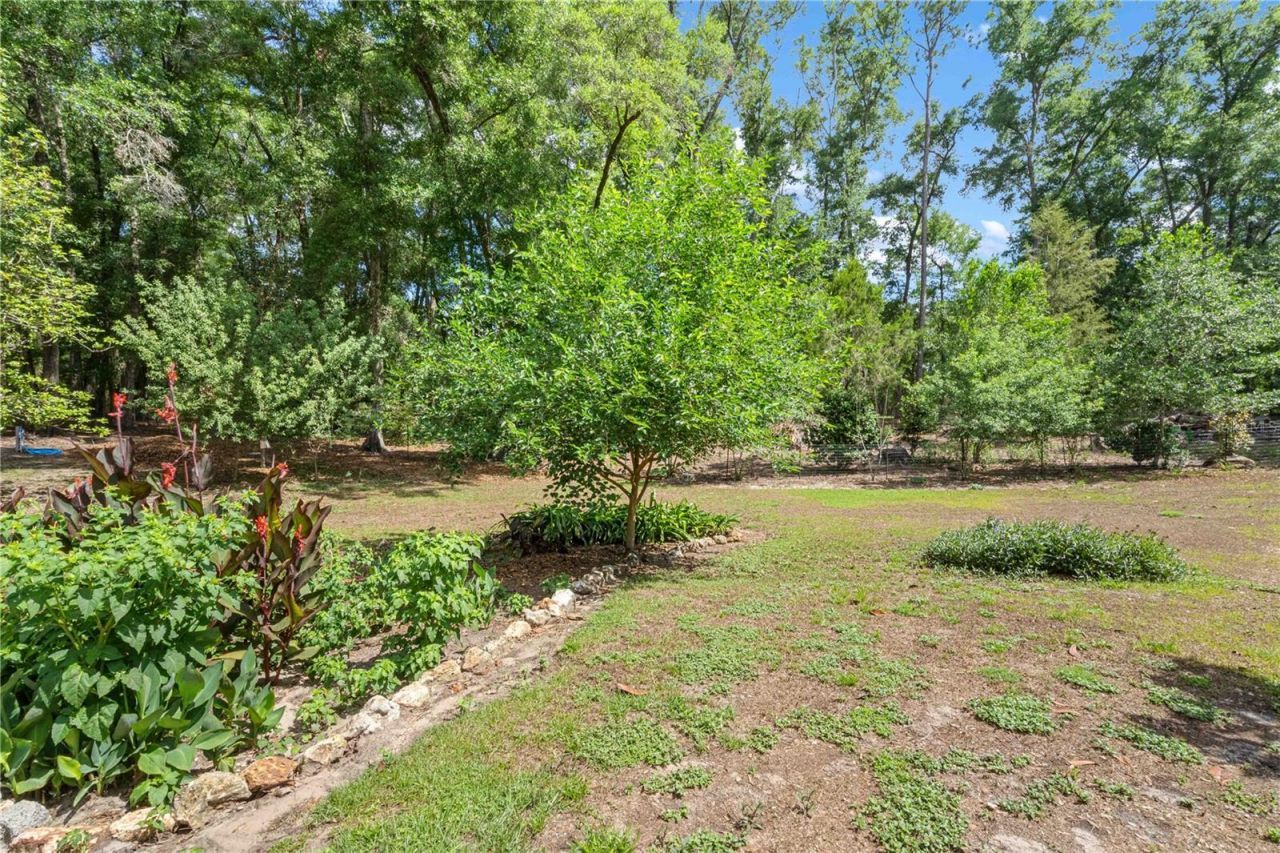 4050 NE 172nd Court , Williston, FL 32696 Photo