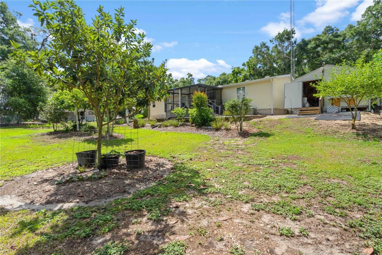 4050 NE 172nd Court , Williston, FL 32696 Photo