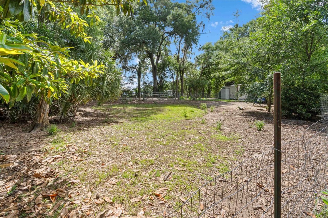 4050 NE 172nd Court , Williston, FL 32696 Photo
