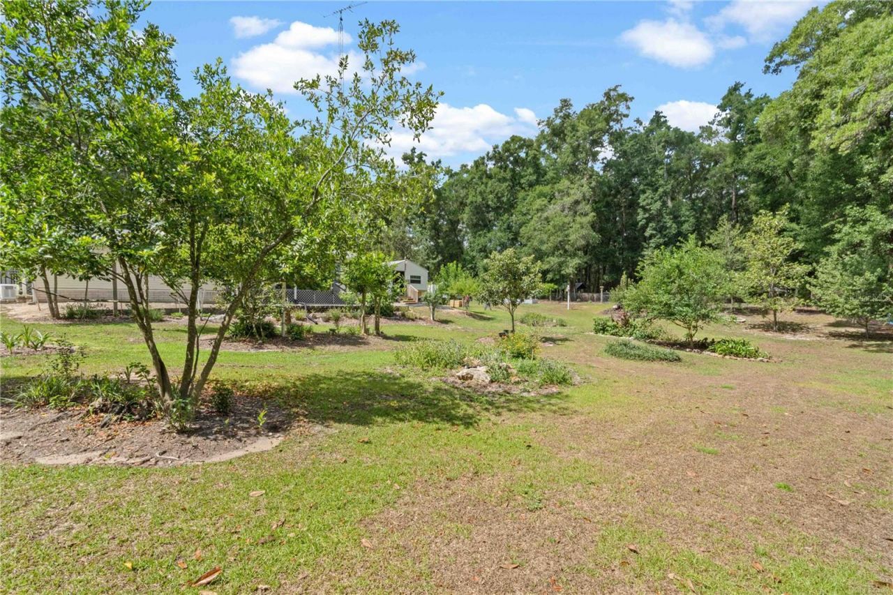 4050 NE 172nd Court , Williston, FL 32696 Photo