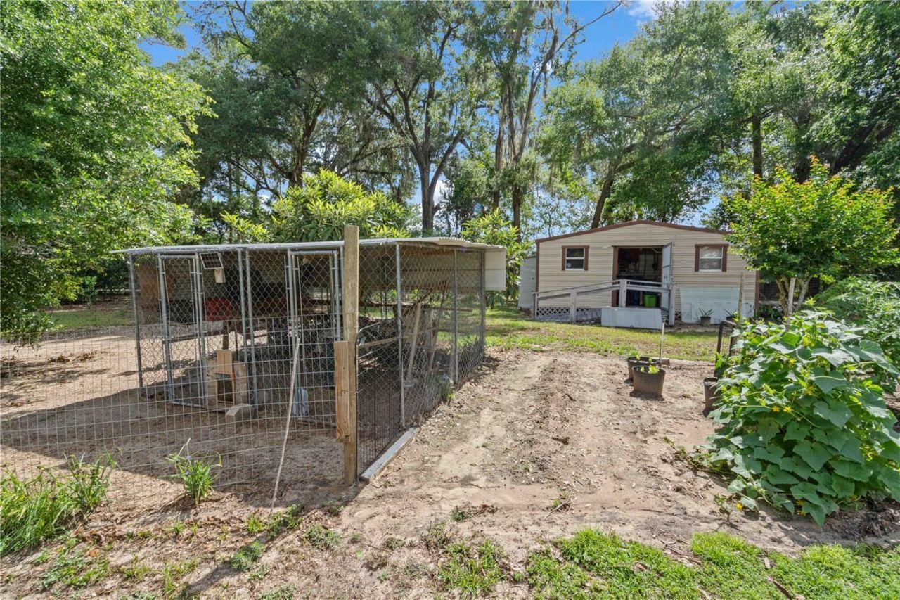 4050 NE 172nd Court , Williston, FL 32696 Photo