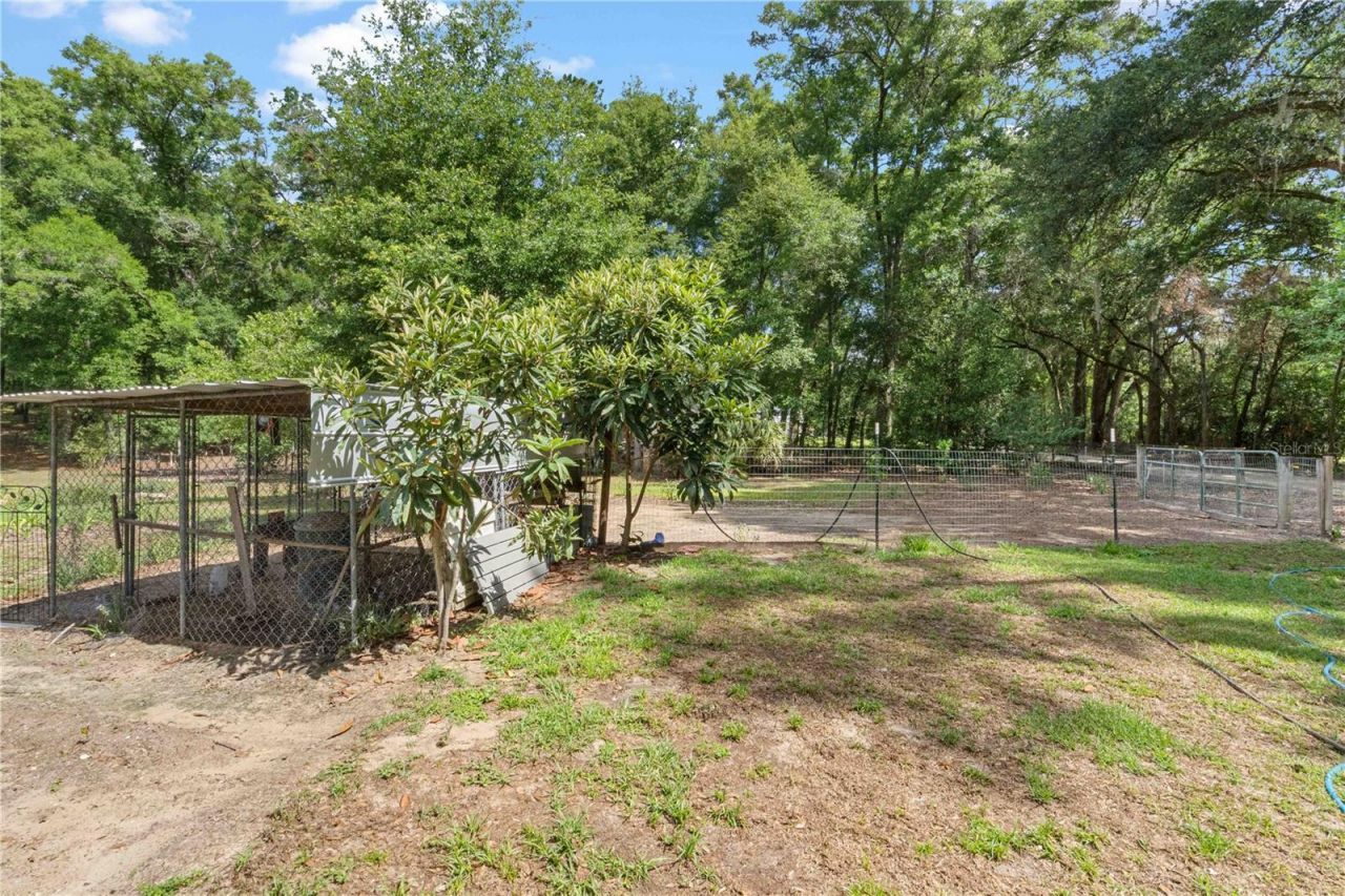 4050 NE 172nd Court , Williston, FL 32696 Photo