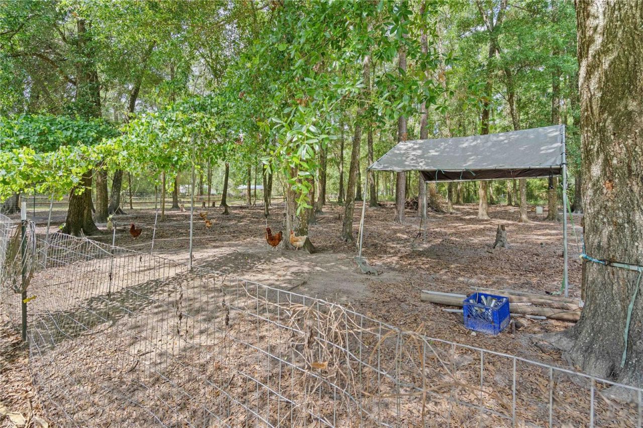 4050 NE 172nd Court , Williston, FL 32696 Photo