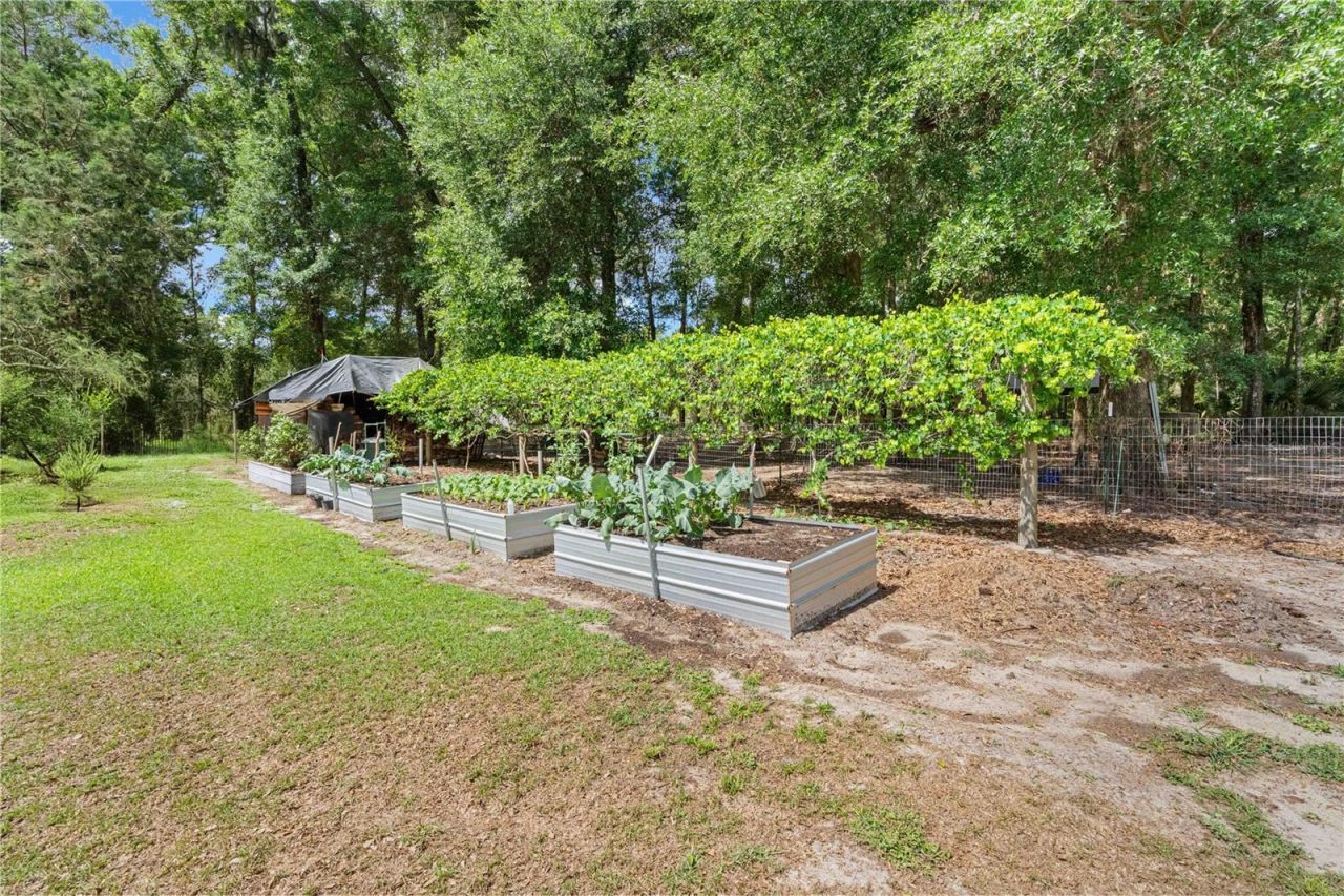 4050 NE 172nd Court , Williston, FL 32696 Photo