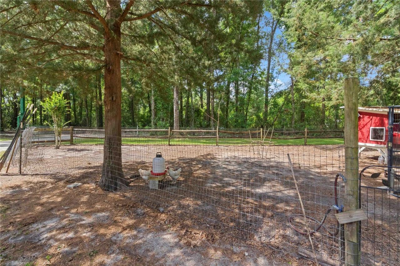 4050 NE 172nd Court , Williston, FL 32696 Photo
