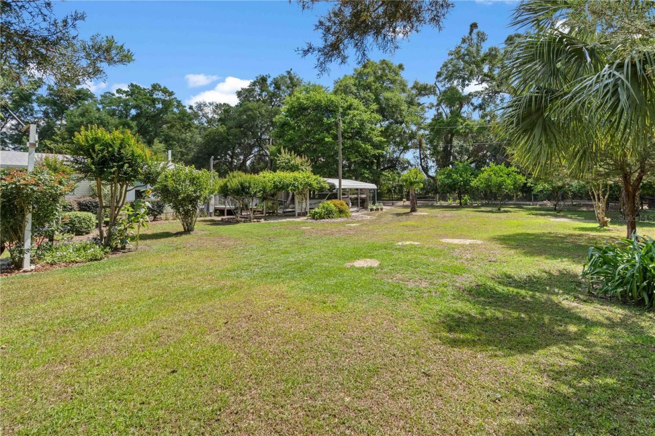 4050 NE 172nd Court , Williston, FL 32696 Photo