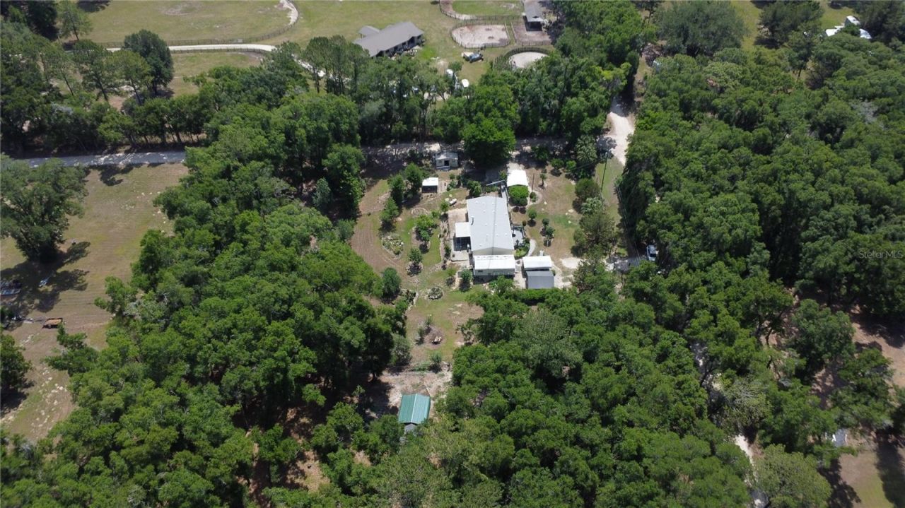 4050 NE 172nd Court , Williston, FL 32696 Photo