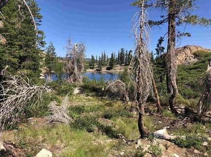 008-070-011 Sierra Buttes Road, Sierra City, CA 96125 Photo