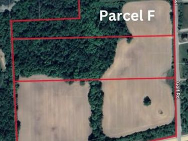 Golf Road (Parcel F) , Lapeer, MI 48446